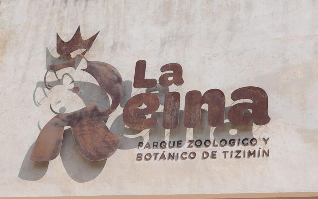 Llegará el ACUAZOO por primera vez al zoológico de Tizimín