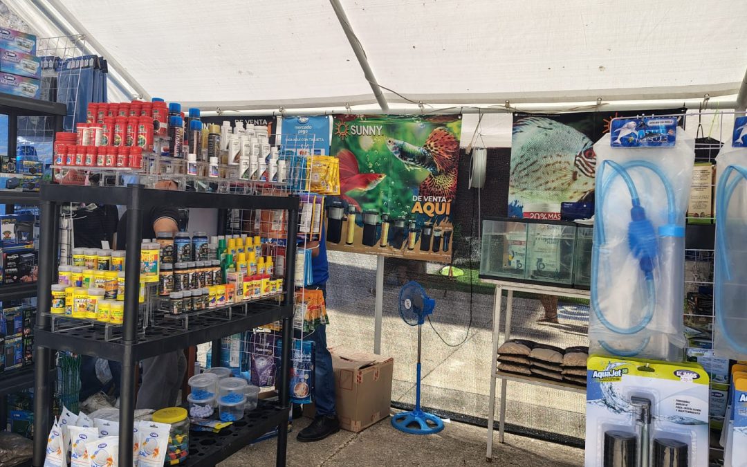 Inició el “Acuazoo” en Tizimín