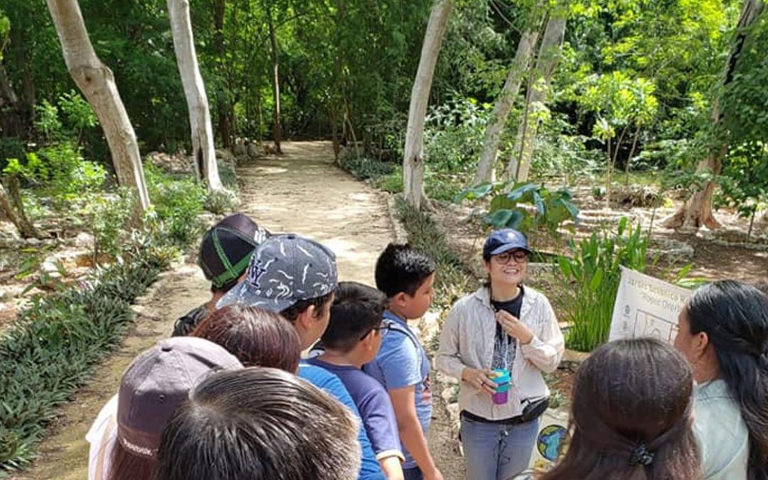 Invita el CICY a su evento “Casa Abierta”