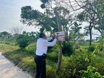 Clausura Profepa tres predios en Celestún