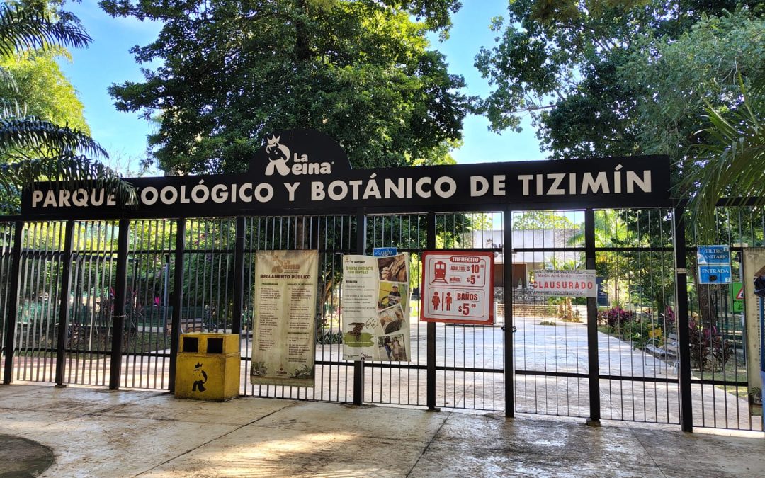 Aclaran que están bien los animales del Zoológico de Tizimín