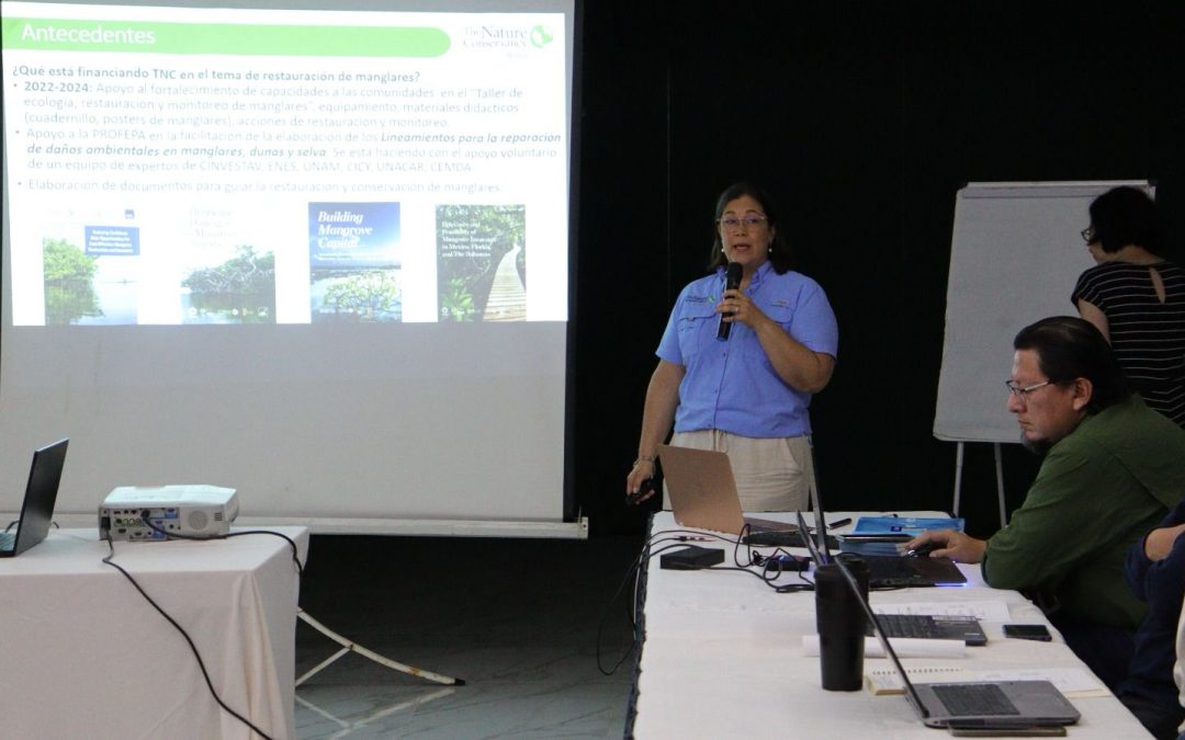 Celebran en Yucatán el Foro Manglar 2025 para Fortalecer la Conservación Costera