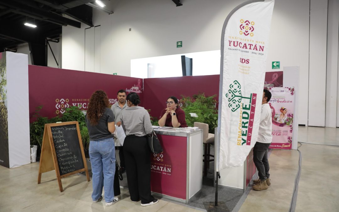 Yucatán impulsa hogares dignos para bienestar de las familias