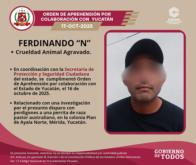 Detenido en Campeche presunto responsable de crueldad animal en Mérida