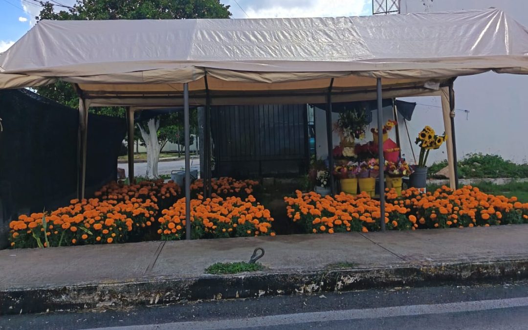 El Día de Muertos no ha revivido el comercio de las flores