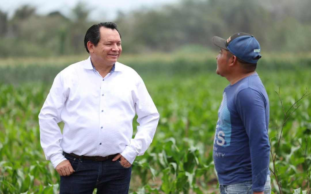 Impulsan el campo yucateco con mecanización de tierras