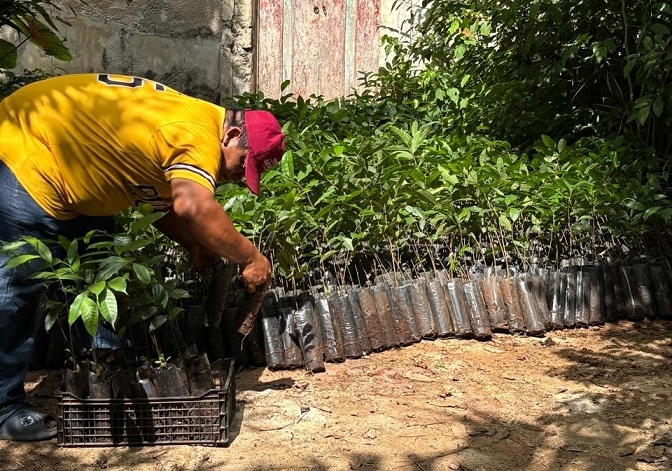 Renacimiento Verde avanza en el oriente yucateco