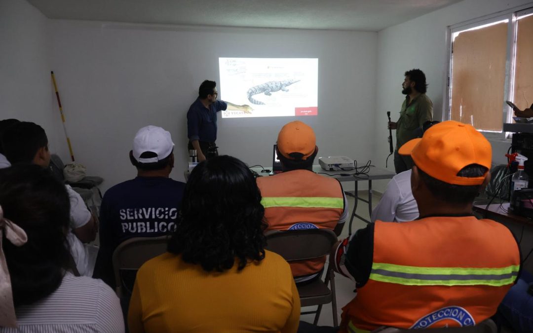 SDS imparte taller especializado en manejo de cocodrilos