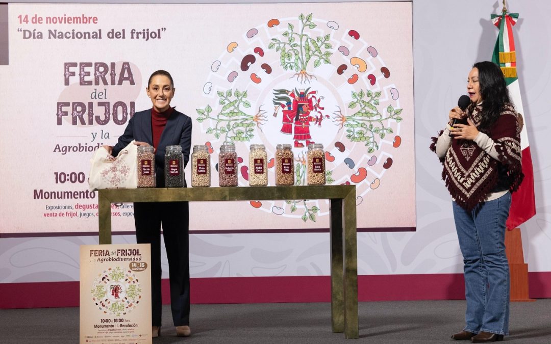 Gobierno de México presenta Frijoles Bienestar, e invita a la feria del frijol y la agrobiodiversidad
