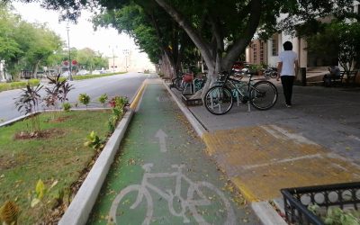 Intervención en Paseo de Montejo prioriza seguridad y fluidez vial, afirma Sefotur