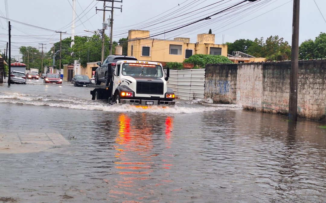 El Ayuntamiento continuará atendiendo afectaciones por lluvia atípica en Caucel 