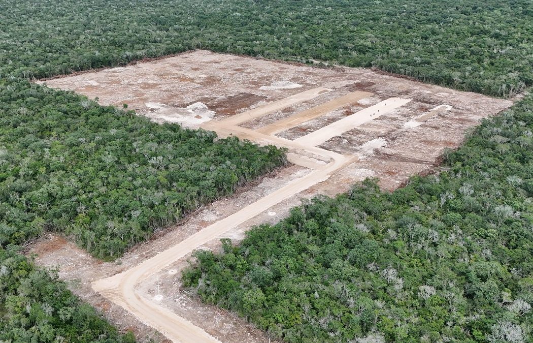 Profepa clausura predio en Kinchil