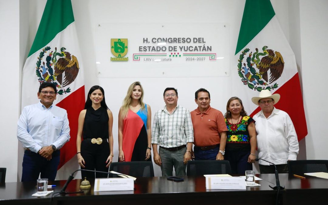 Impulsan Ley de Autismo para Yucatán con Parlamento Abierto