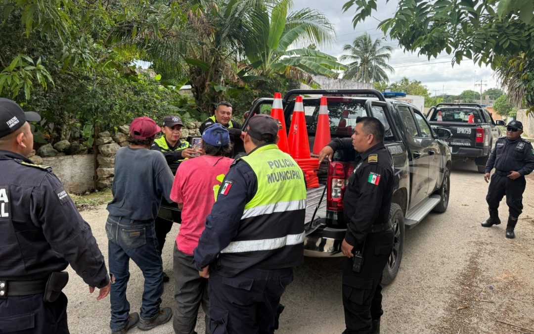 Hasta ahora 24 detenidos por operativo “Buen Fin”, en Tizimín