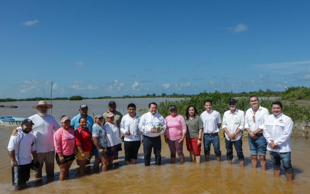 Lanza Yucatán estrategia integral para restauración de humedales costeros