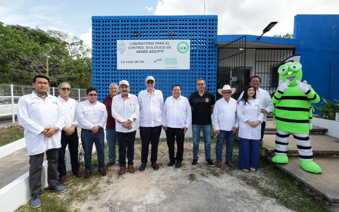 Gobierno de Yucatán y Sader evalúan nueva biofábrica para combatir gusano barrenador