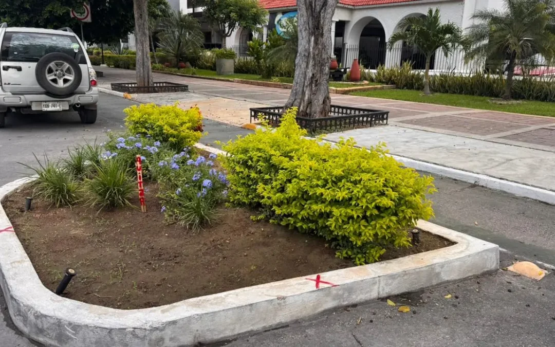 Pide CANACO eliminar jardineras en Paseo de Montejo, para mejorar movilidad