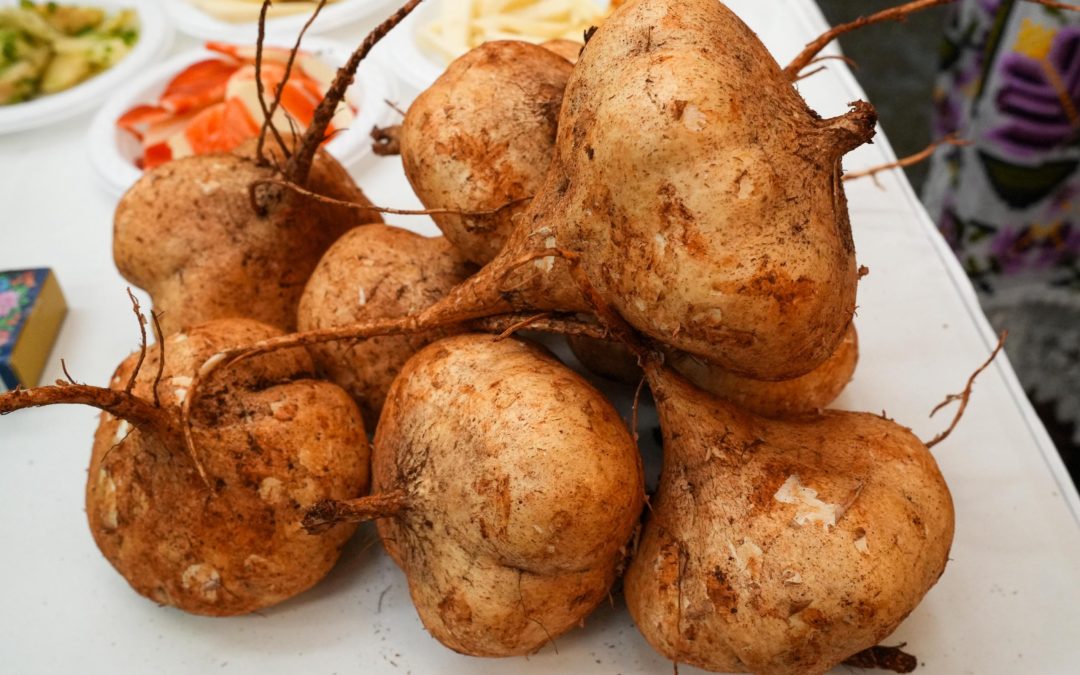 Yucatán no sólo sabe a cochinita, la jícama también es uno de sus sabores