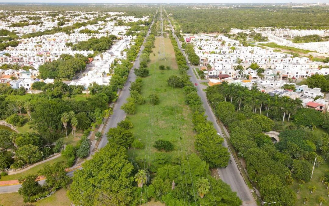 Crearán un biocorredor en el poniente de Mérida 