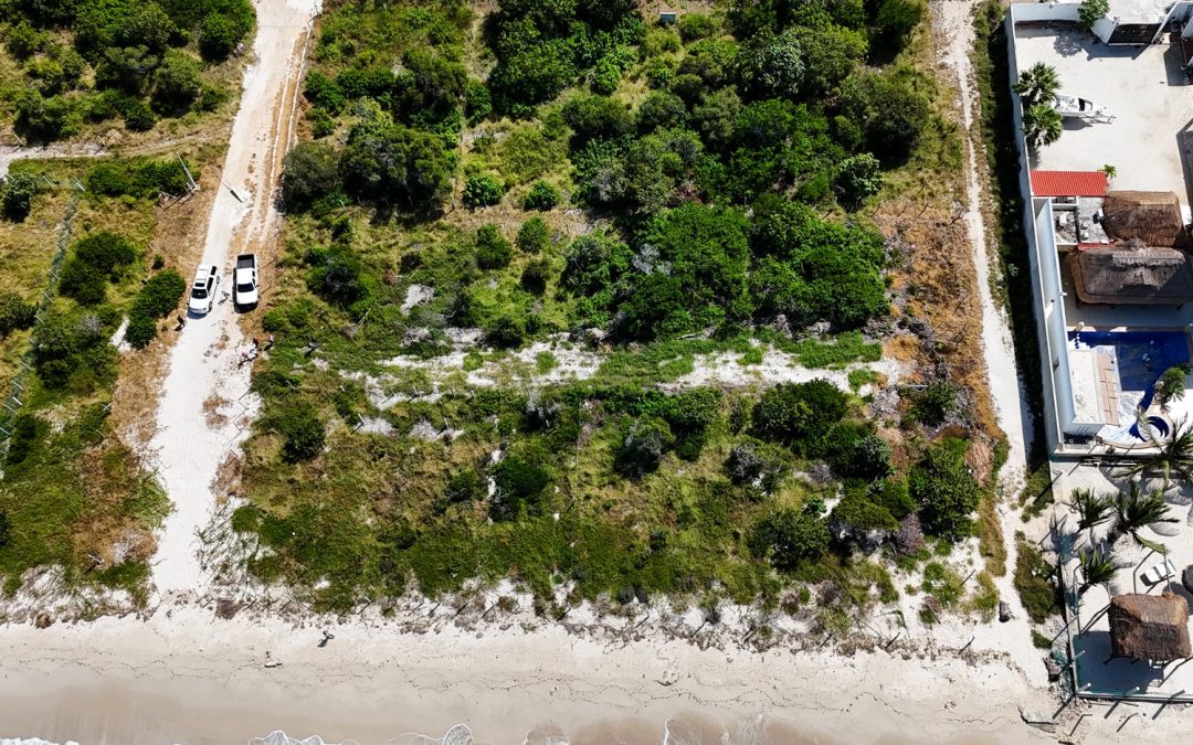 Profepa clausura proyectos inmobiliarios en Chicxulub, Progreso y San Crisanto