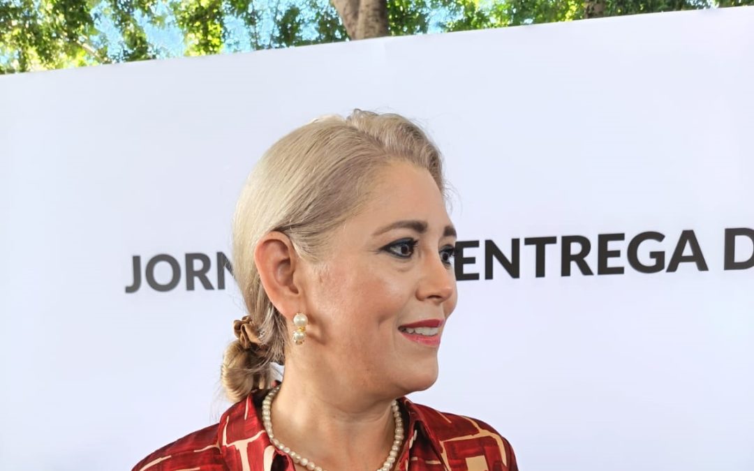 Relevancia del caso Sheinbaum: Senadora Camino Farjat insta a jueces a aplicar Ley Federal contra el Acoso Sexual