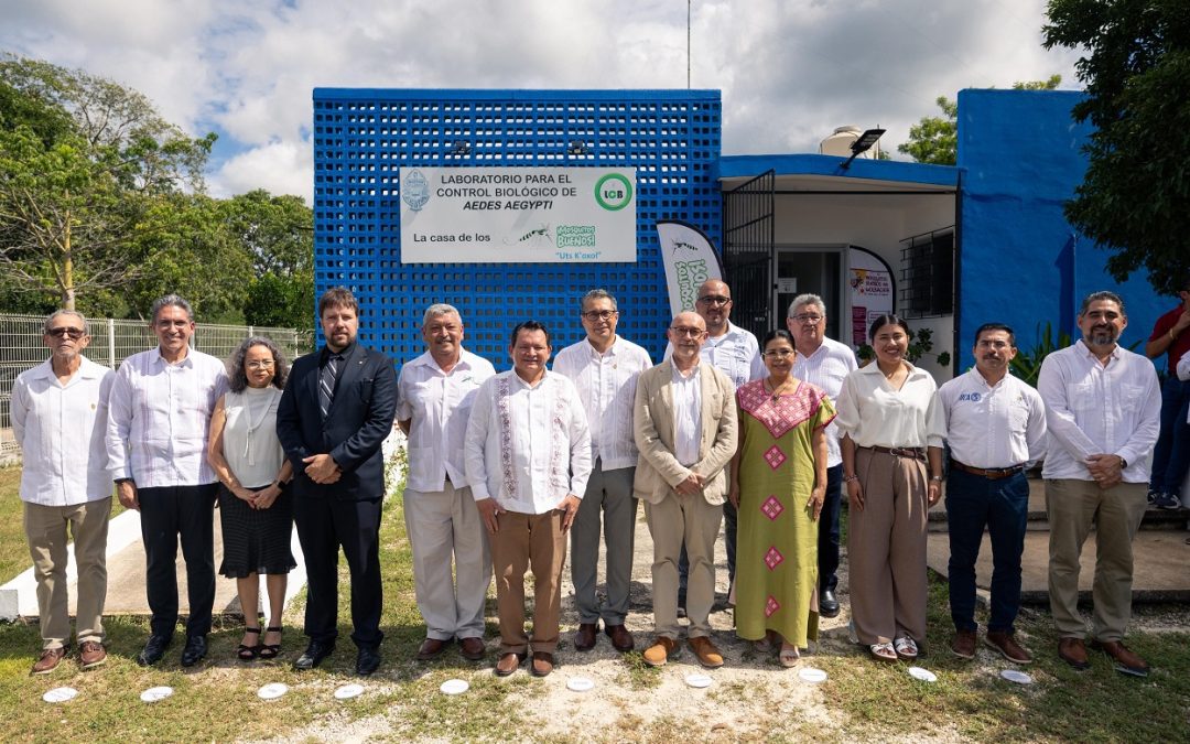 Combatirá Yucatán gusano barrenador con estrategia de insectos estériles