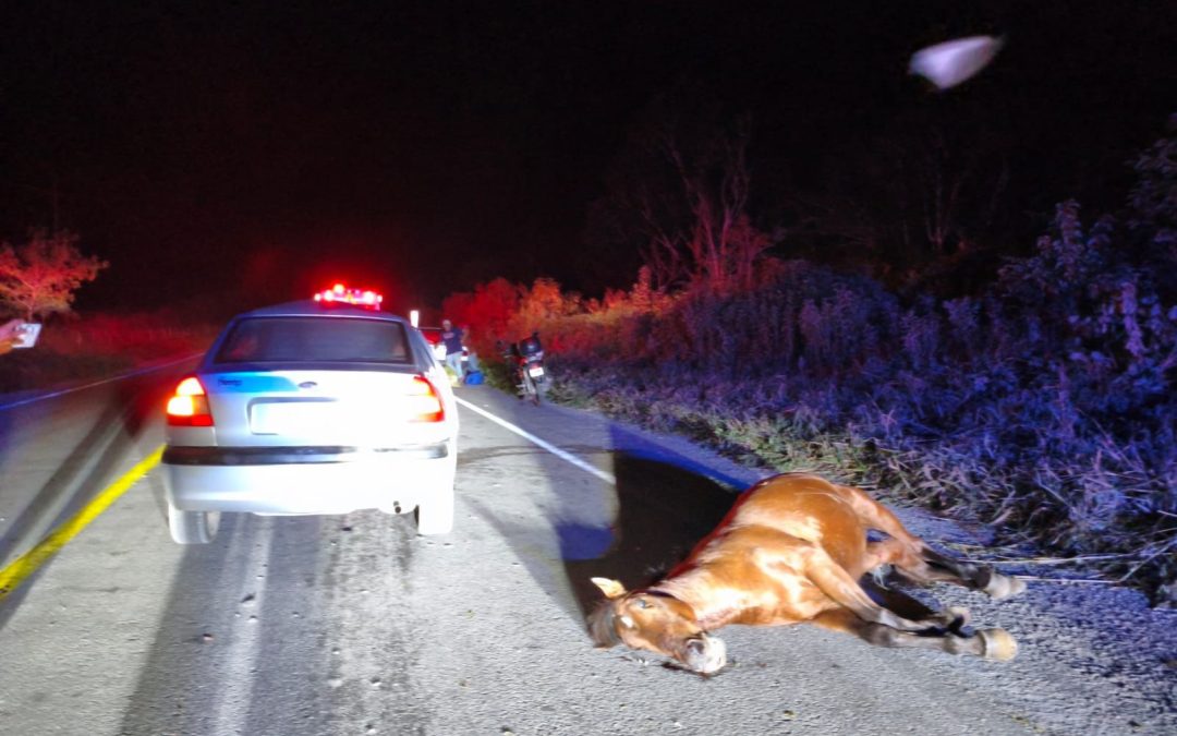 Dos accidentes cerca de Calotmul