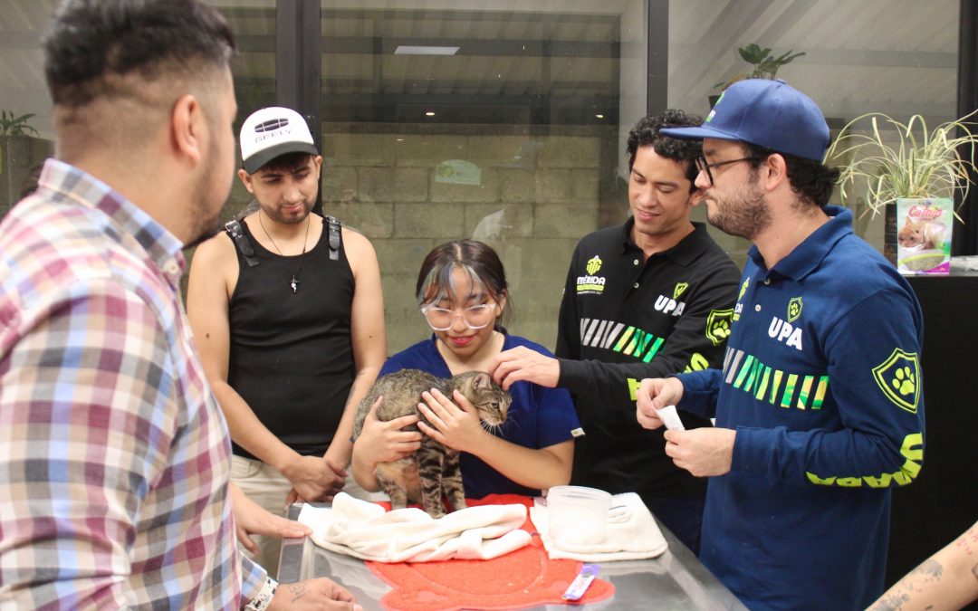 Se posiciona Mérida como la primera ciudad mexicana positiva para los animales 