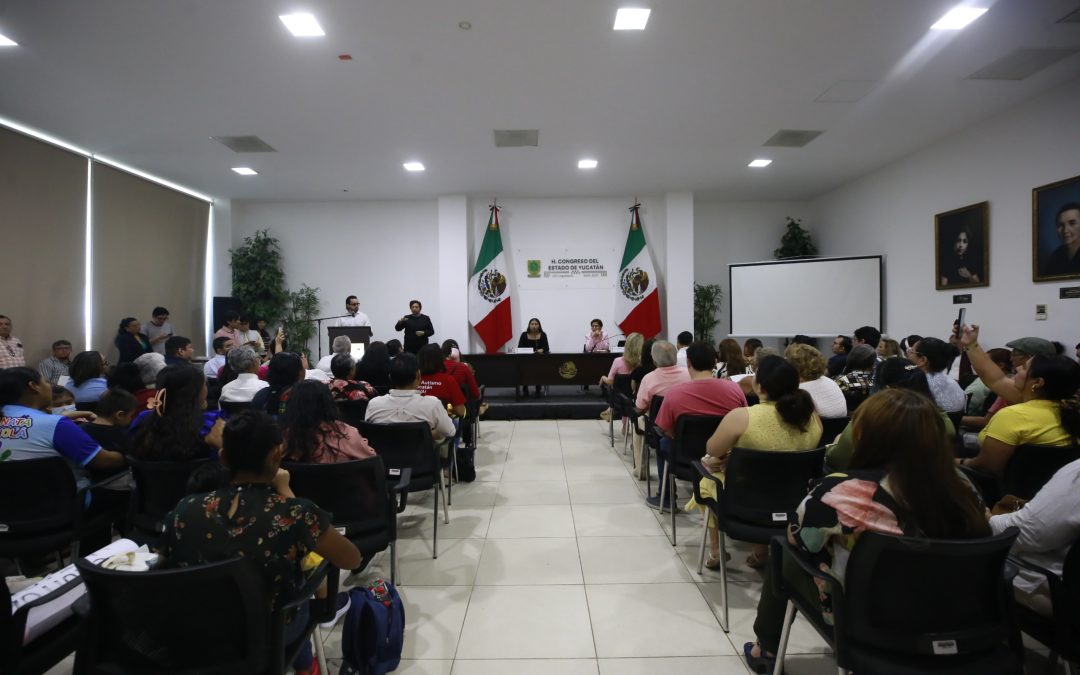 Yucatán podría aprobar la Ley de Autismo antes del 15 de diciembre
