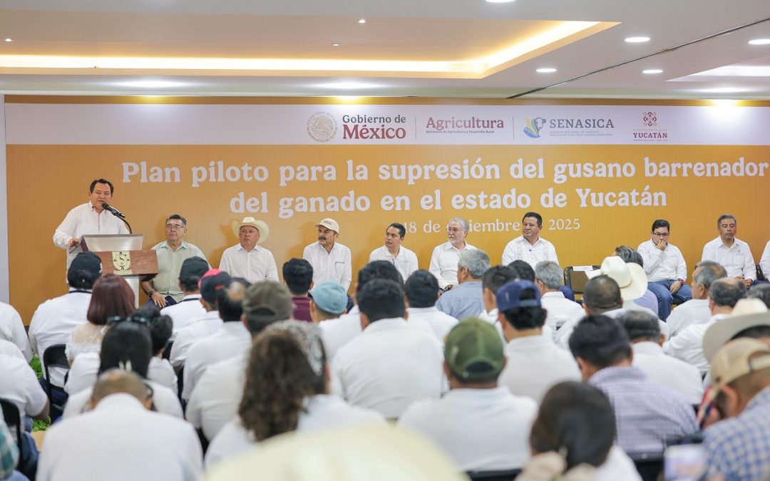 Yucatán se convierte en punta de lanza nacional contra el gusano barrenador