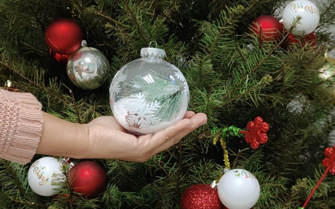 Recomienda IMSS Yucatán medidas preventivas para colocación del árbol navideño