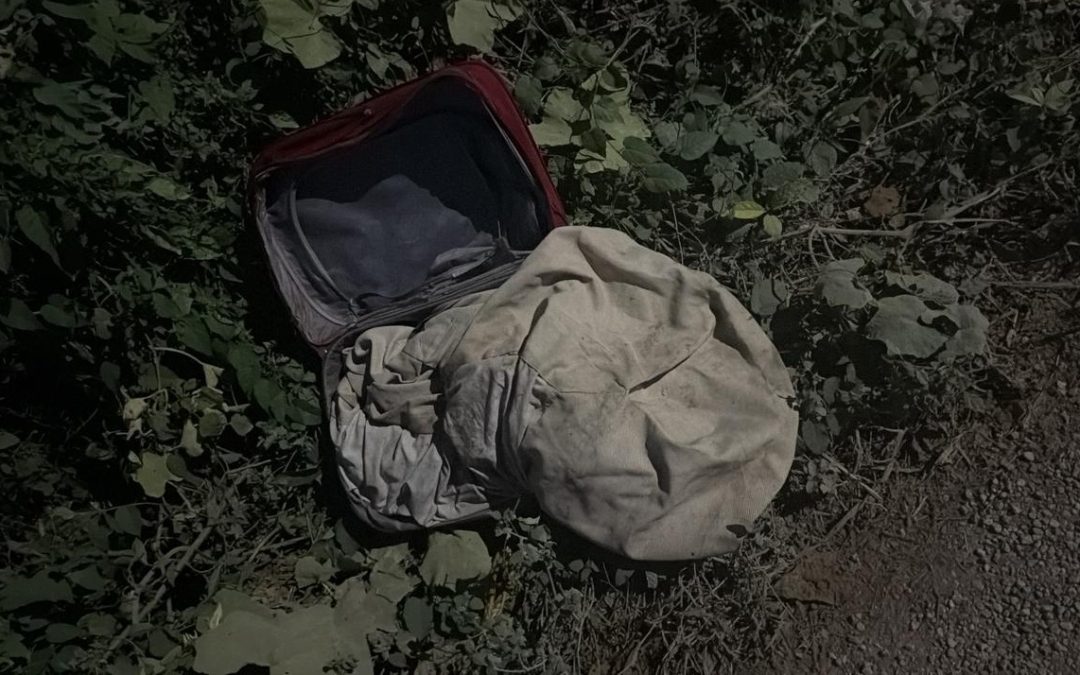 Siguen envenenando perros en Tizimín, nadie denuncia