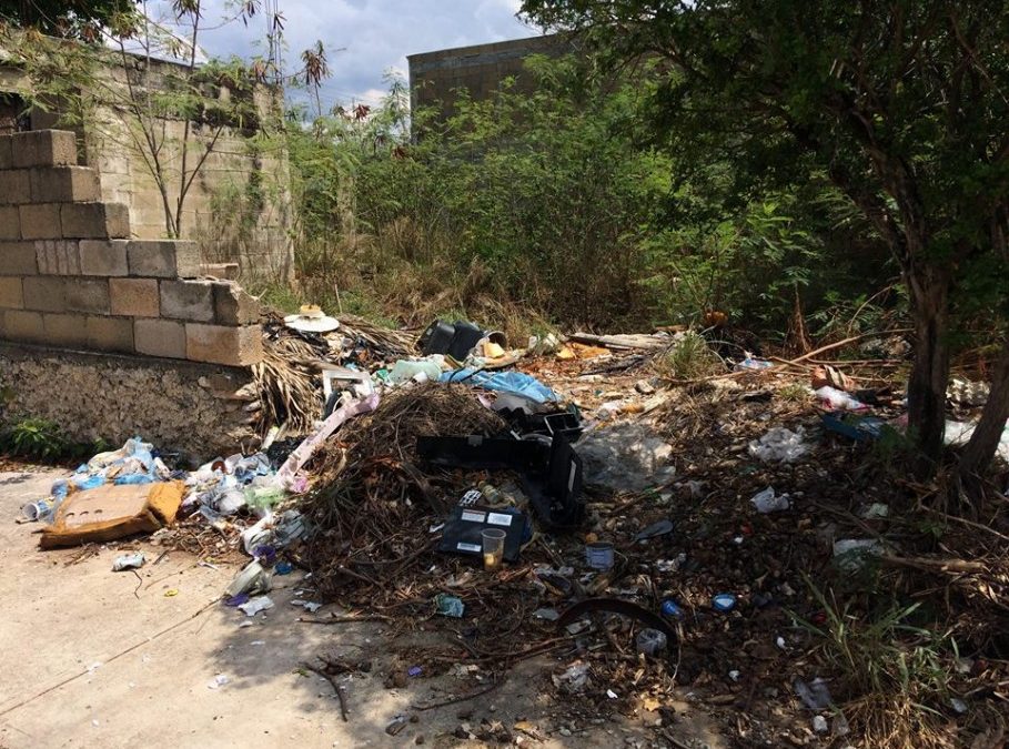 Ayuntamiento de Mérida también ofrecerá atractivos descuentos para las multas por terrenos baldíos