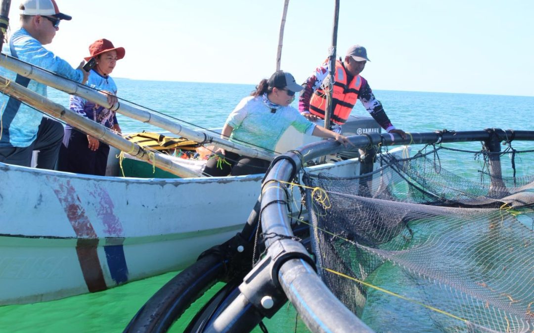 Convocan al Premio Estatal de Pesca y Acuacultura Ejemplar 2025