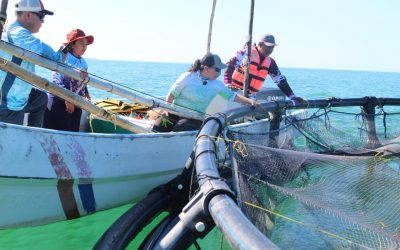 Convocan al Premio Estatal de Pesca y Acuacultura Ejemplar 2025