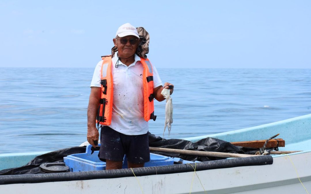 Costa yucateca cierra exitosa temporada de pulpo, con 25 mil ton