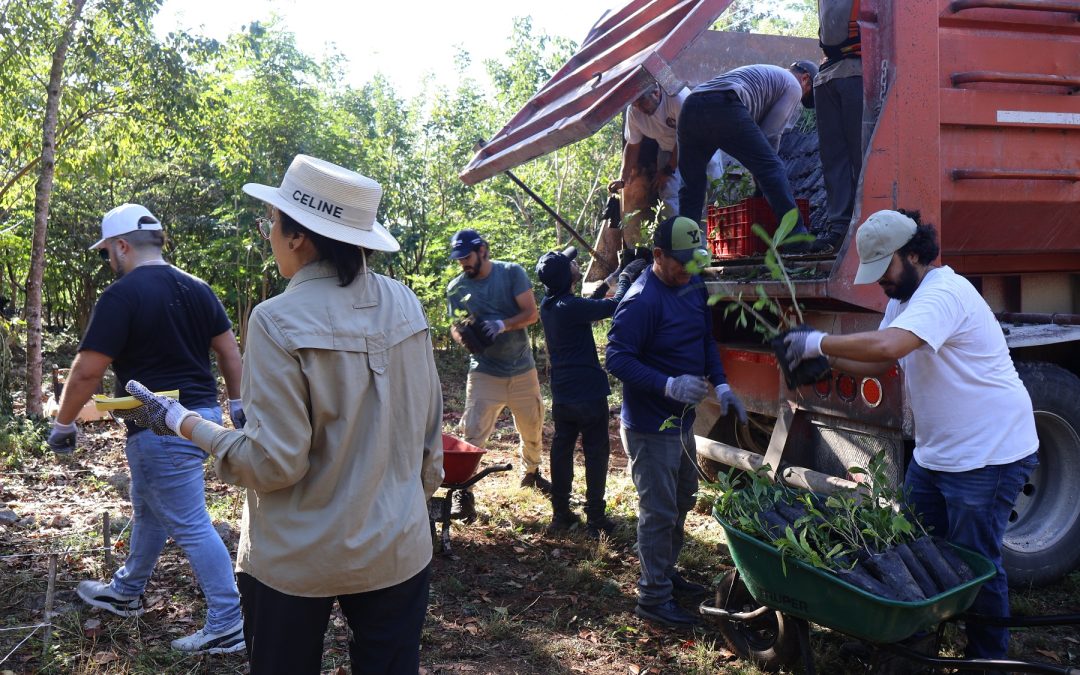 SDS recibe 50 mil plantas nativas para reforzar reforestación en Yucatán