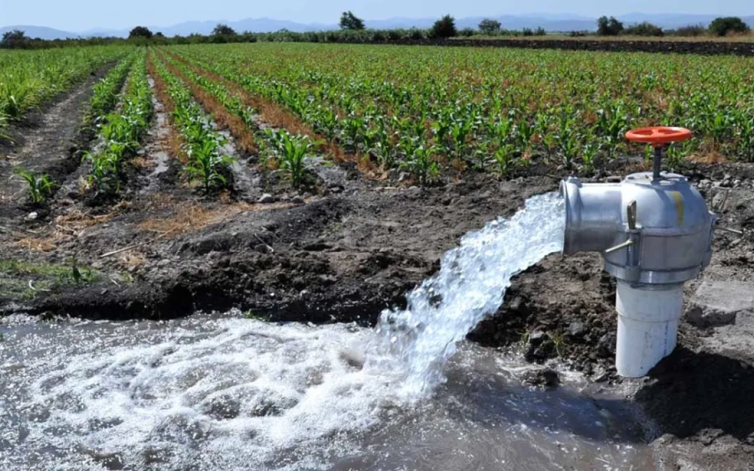 No se podrá comercializar el agua en Yucatán, dice senadora Verónica Camino