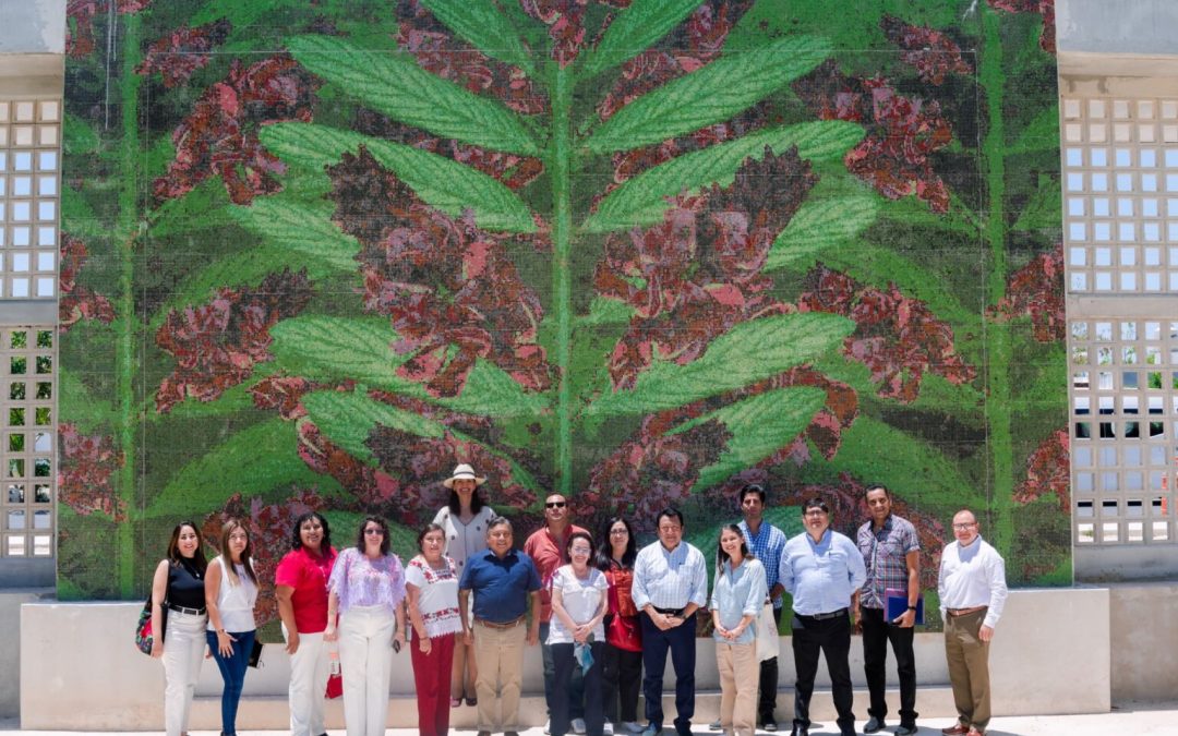 Universidad Rosario Castellanos abrirá Clases presenciales en marzo de 2026, en Kanasín