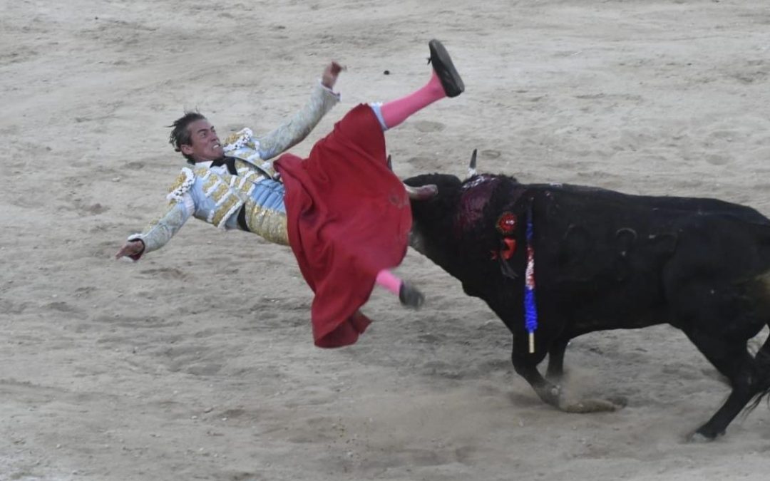 Corta oreja Diego Silveti, durante festejo en “La Merida”
