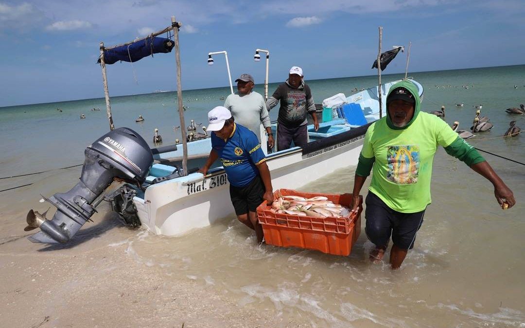 Incrementarán este año el apoyo a la veda para los pescadores yucatecos