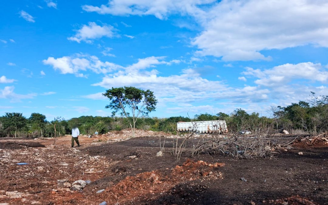 Profepa clausura terreno en Kinchil