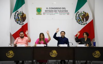 Aprueban proyecto de convocatoria para designar a integrantes del Consejo Consultivo de la CODHEY