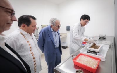 Es Yucatán referente nacional en innovación para el control del dengue y otras arbovirosis