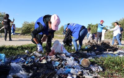 Recolectan casi una tonelada de residuos en jornada de limpieza en manglares de Chuburná