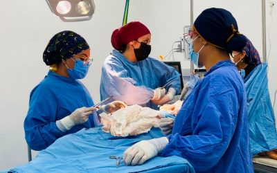 Reconoce IMSS Yucatán a mujeres médicas que salvaguardan la salud y bienestar de la población