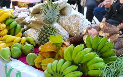 Regresa el Mercado Renacer del Campo Yucateco al Parque La Plancha