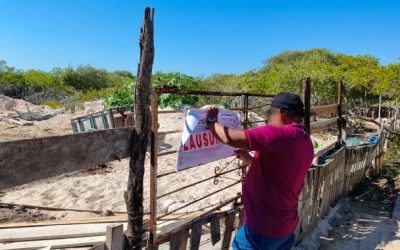 Clausura Profepa terreno y decomisa maquinaria en Chelem