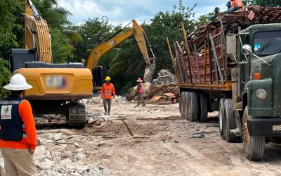 Intensifica Profepa inspecciones y sanciones en el sureste 