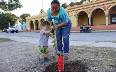 Promueven reforestación en Dzityá como parte de la estrategia Renacimiento Verde